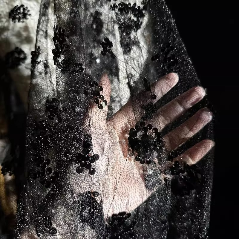 الدانتيل زهرة التطريز الترتر ش - مراجعة Embroidery Net Dress وسعره